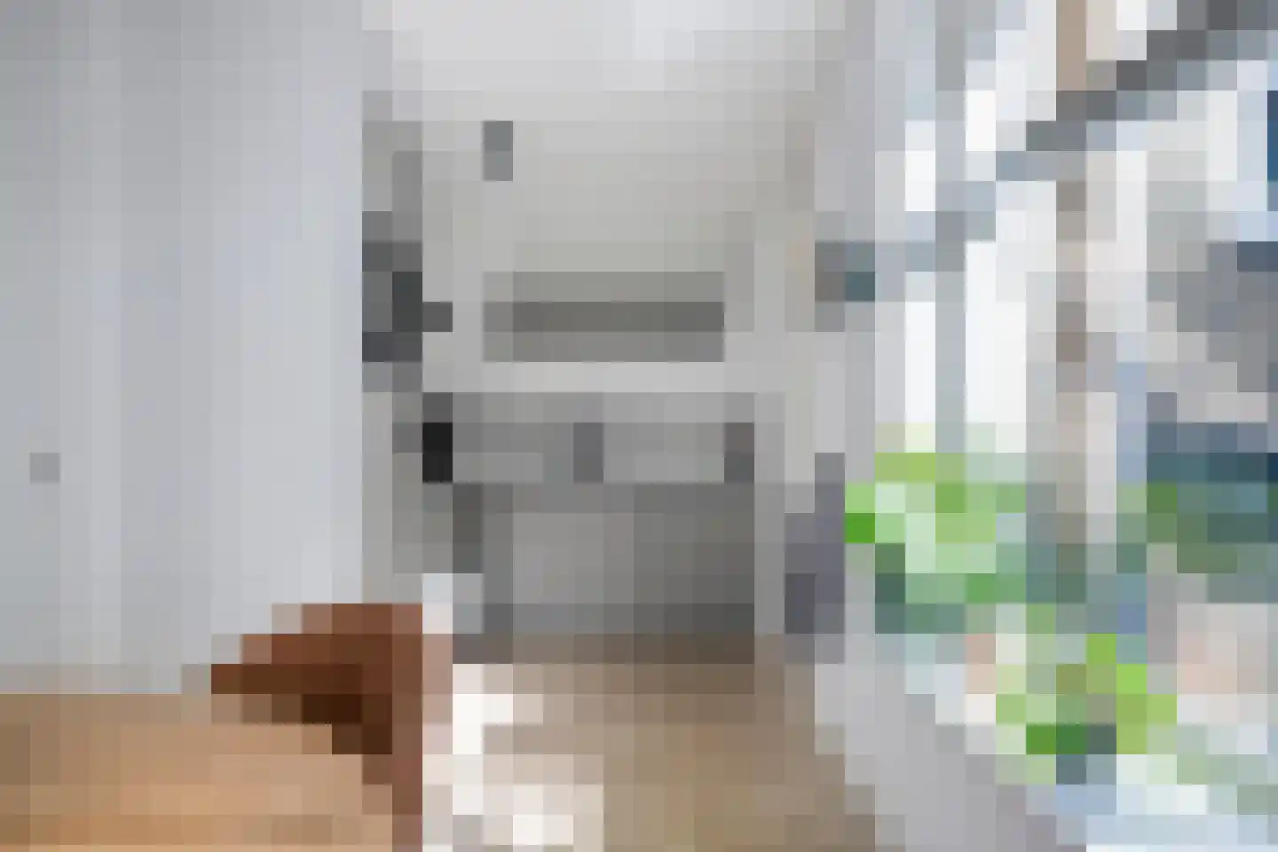 't Heuivak 20 Nijeveen thumbnail 12