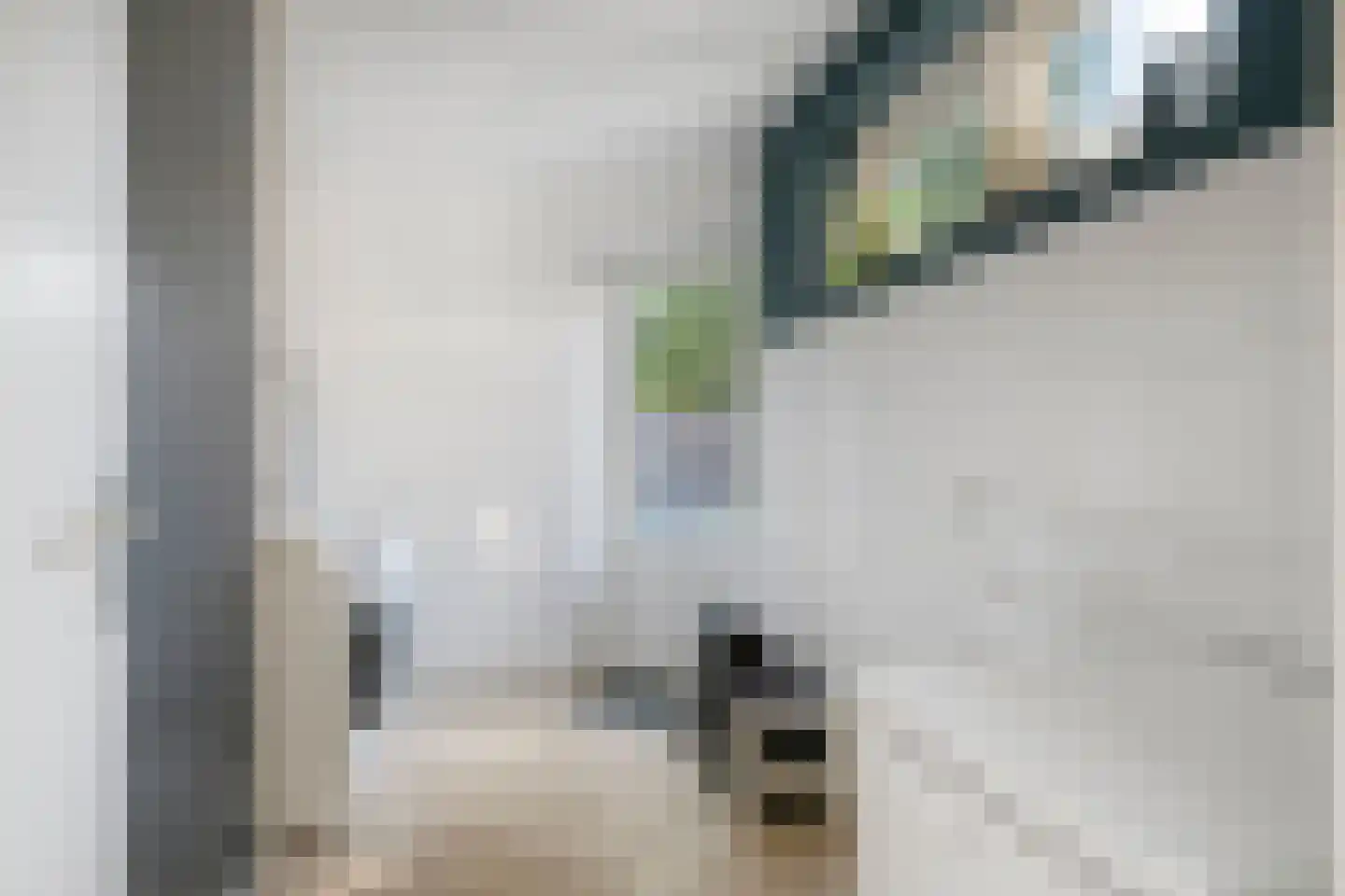 't Heuivak 20 Nijeveen thumbnail 14