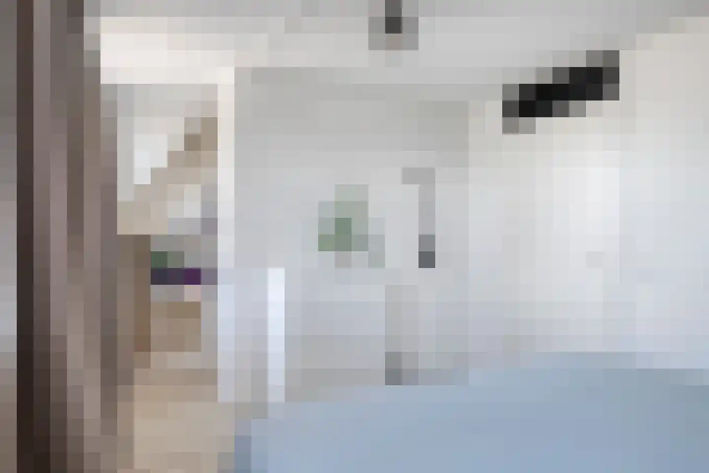 't Heuivak 20 Nijeveen thumbnail 19