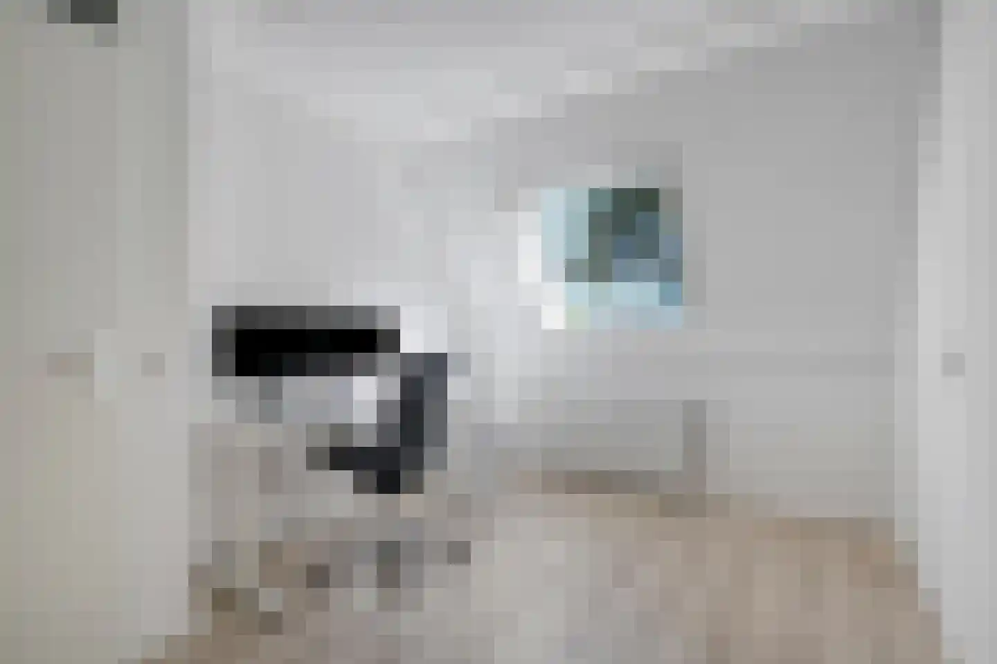 't Heuivak 20 Nijeveen thumbnail 22