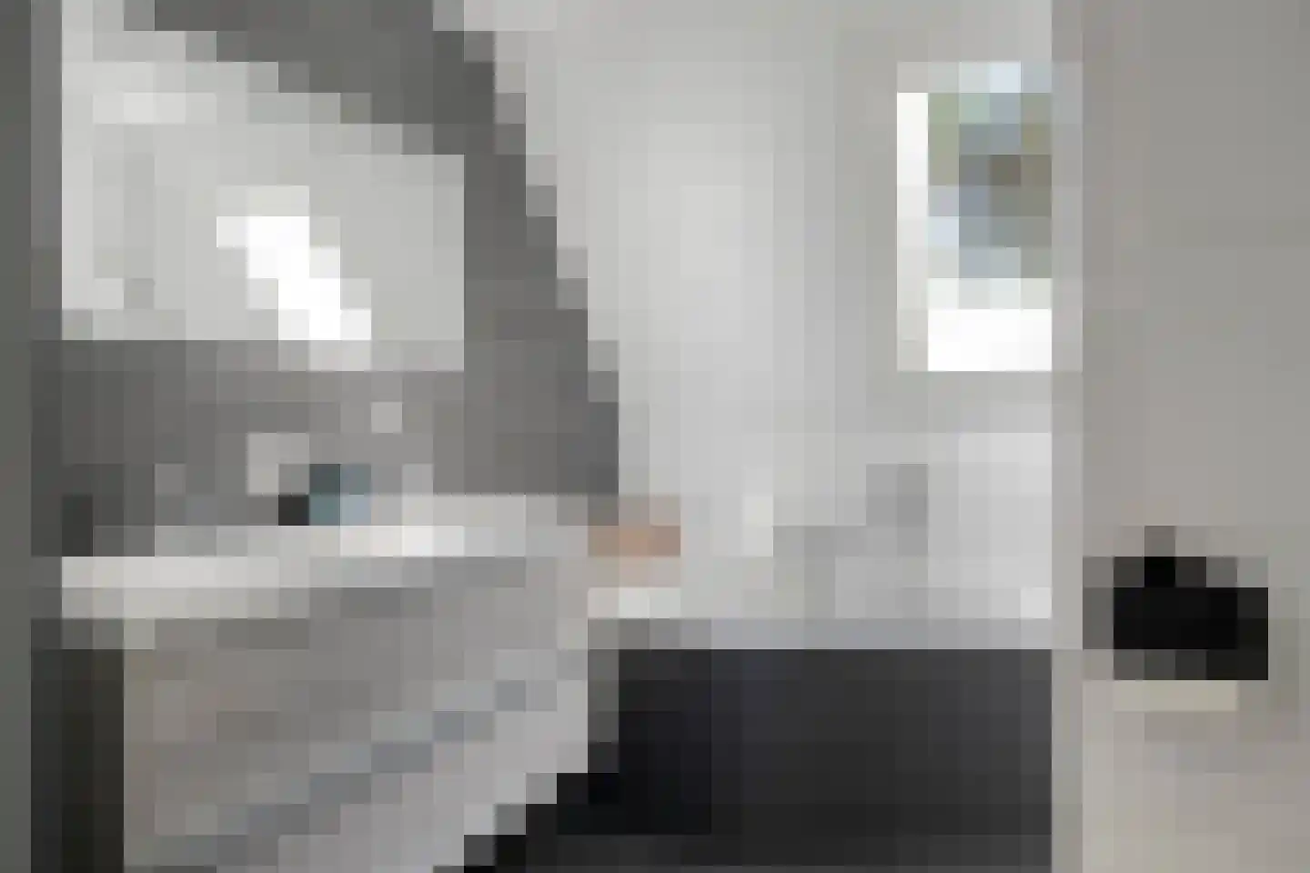 't Heuivak 20 Nijeveen thumbnail 23