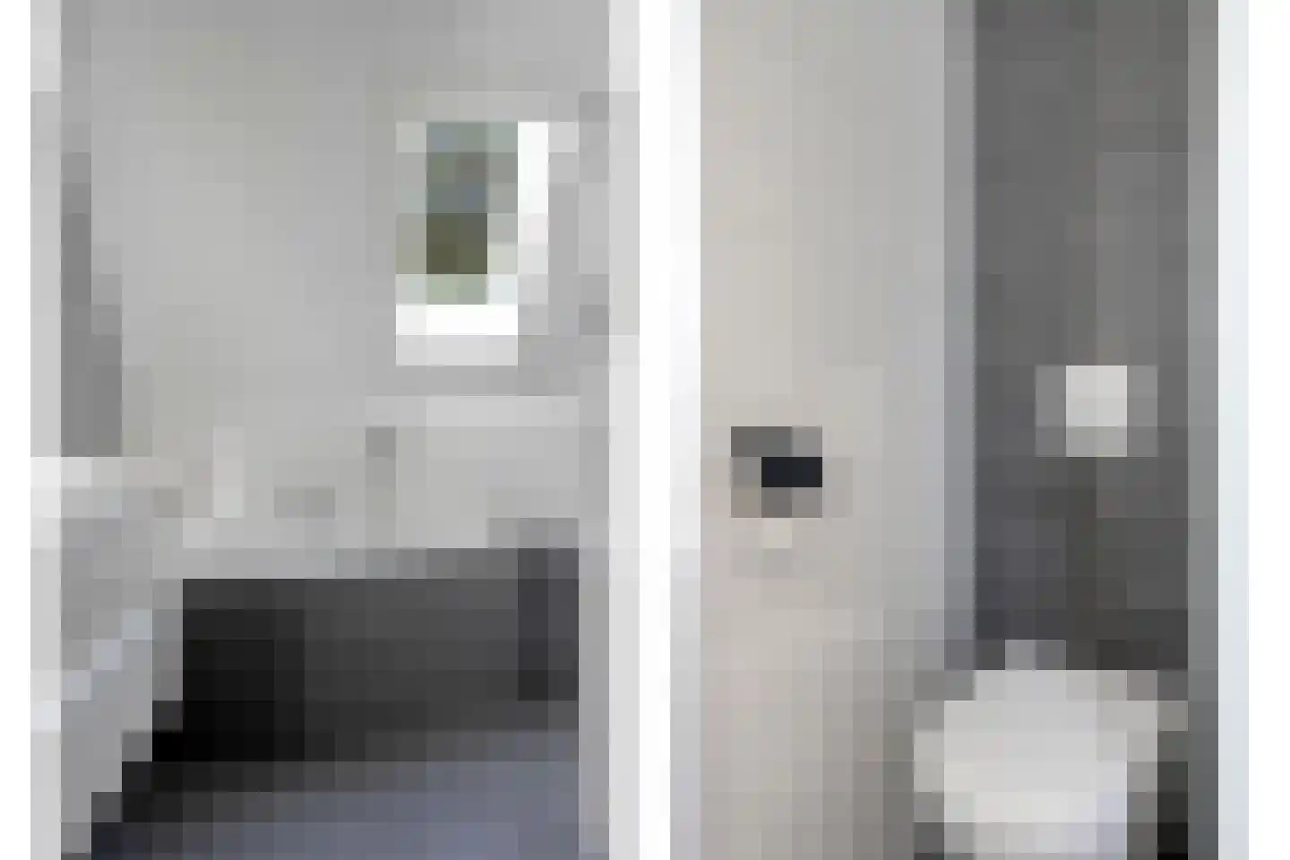 't Heuivak 20 Nijeveen thumbnail 25