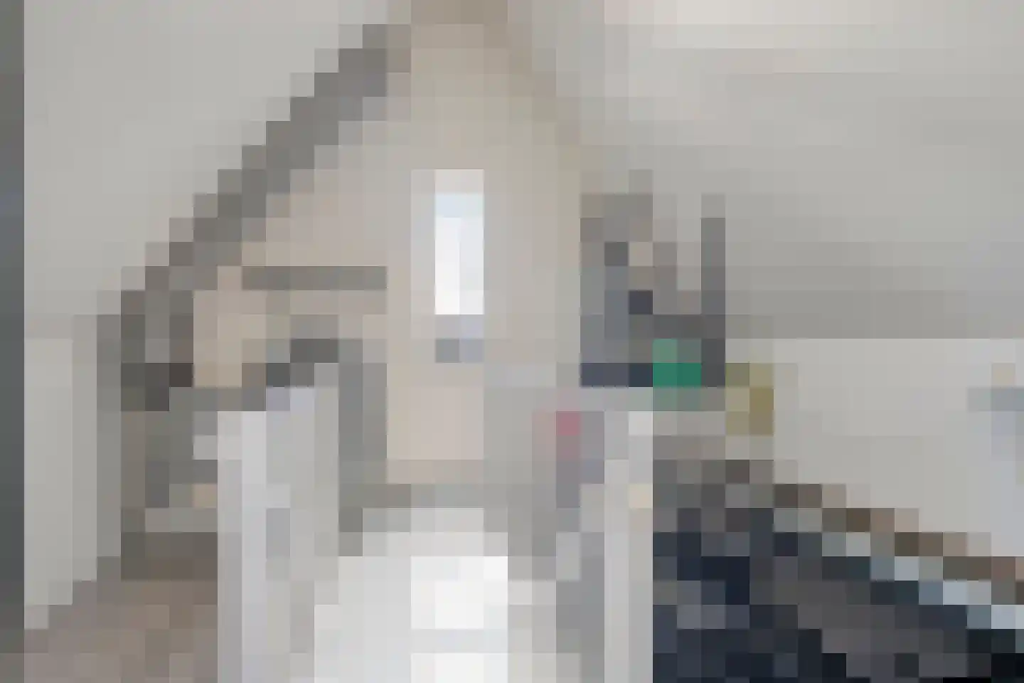 't Heuivak 20 Nijeveen thumbnail 26