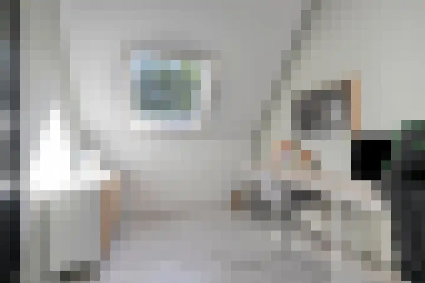 't Heuivak 20 Nijeveen thumbnail 28