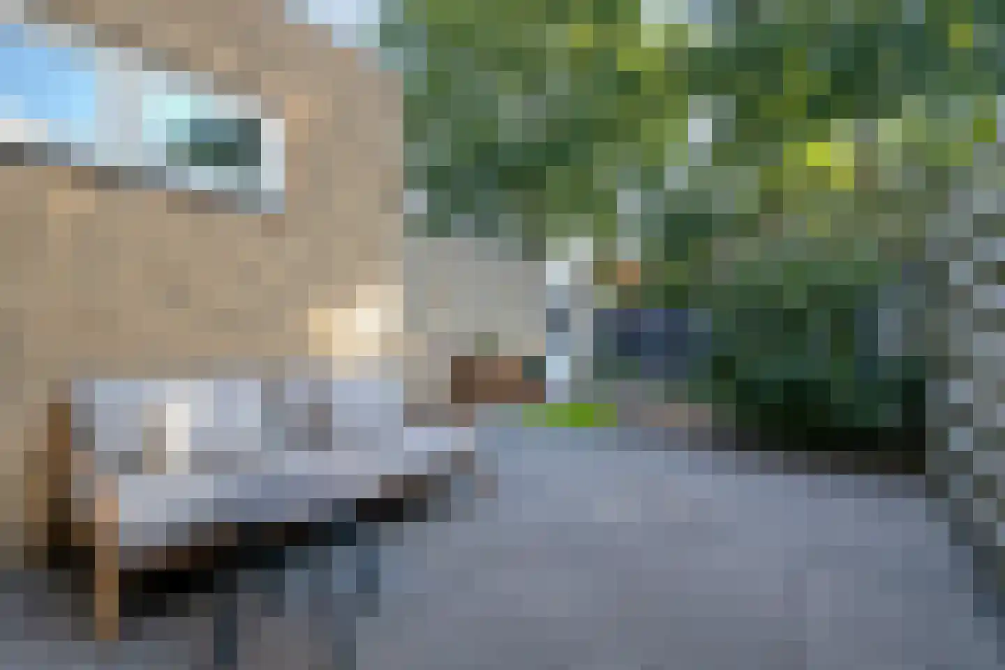 't Heuivak 20 Nijeveen thumbnail 29