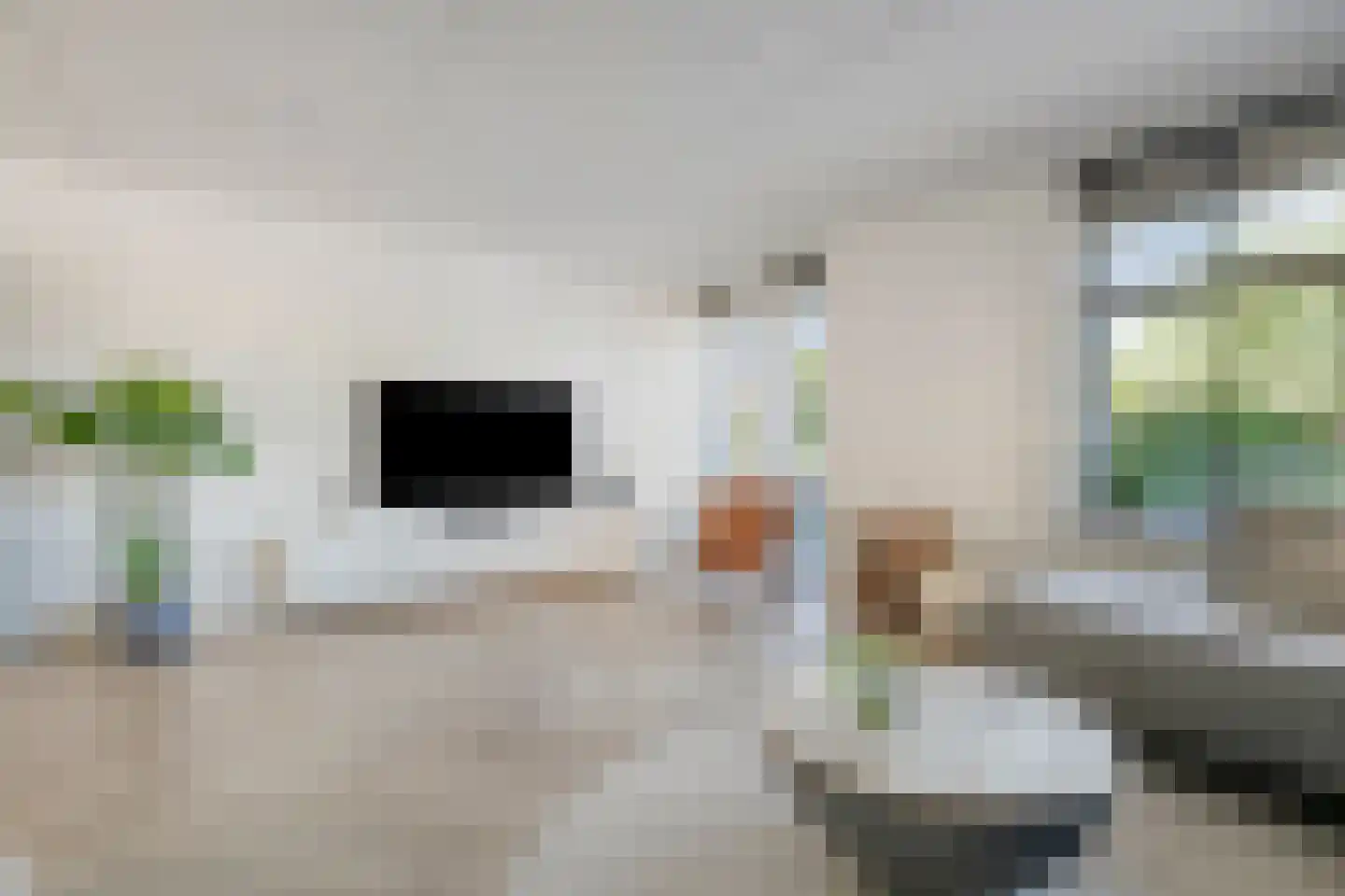 't Heuivak 20 Nijeveen thumbnail 5