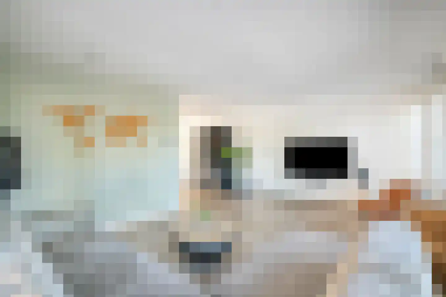 't Heuivak 20 Nijeveen thumbnail 7