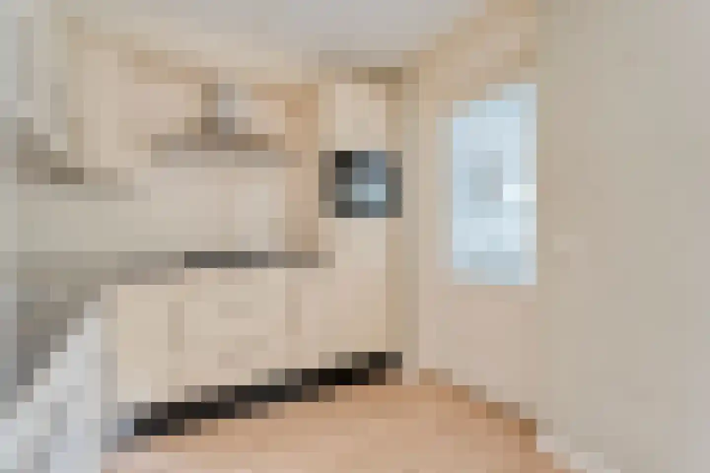't Heuivak 46 Nijeveen thumbnail 13