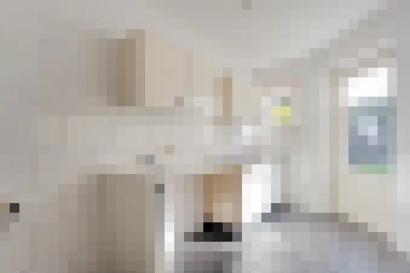 't Heuivak 46 Nijeveen thumbnail 14