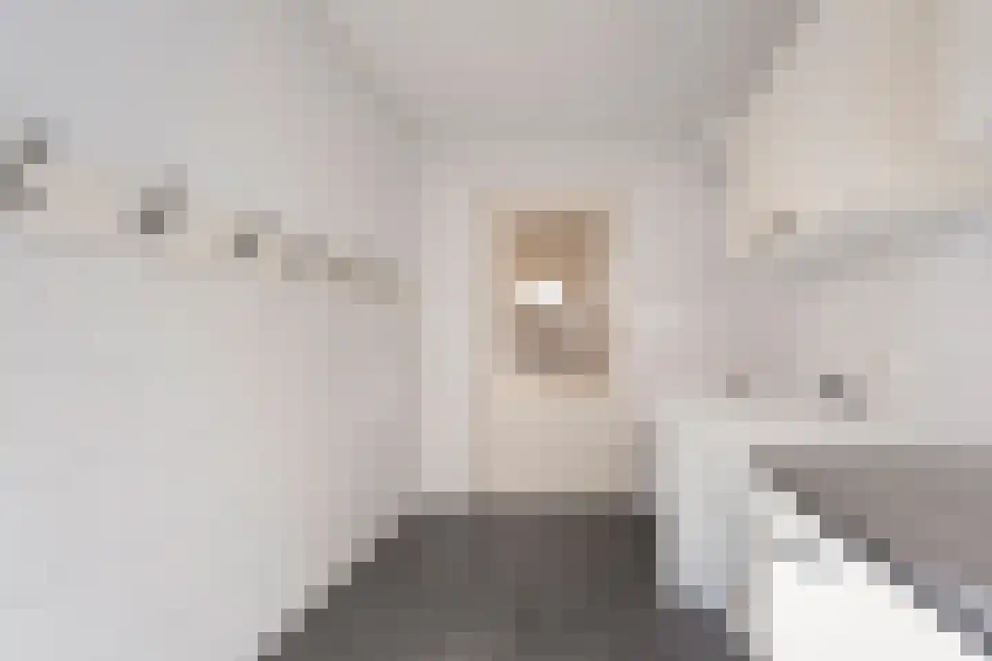 't Heuivak 46 Nijeveen thumbnail 15