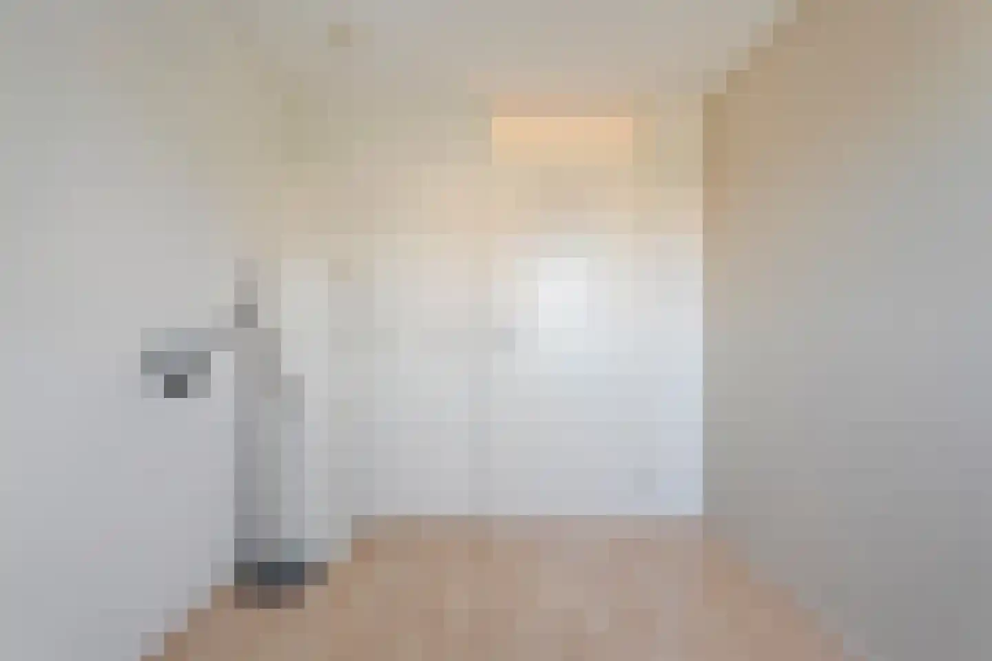 't Heuivak 46 Nijeveen thumbnail 20