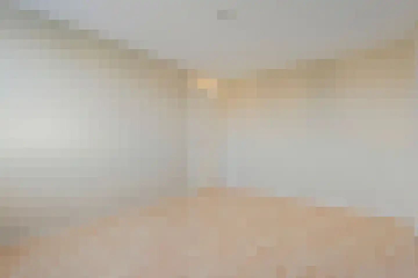 't Heuivak 46 Nijeveen thumbnail 22