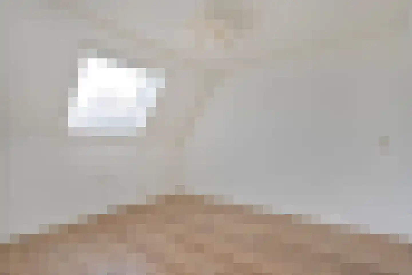 't Heuivak 46 Nijeveen thumbnail 31