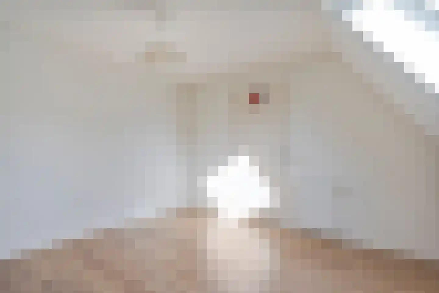 't Heuivak 46 Nijeveen thumbnail 32