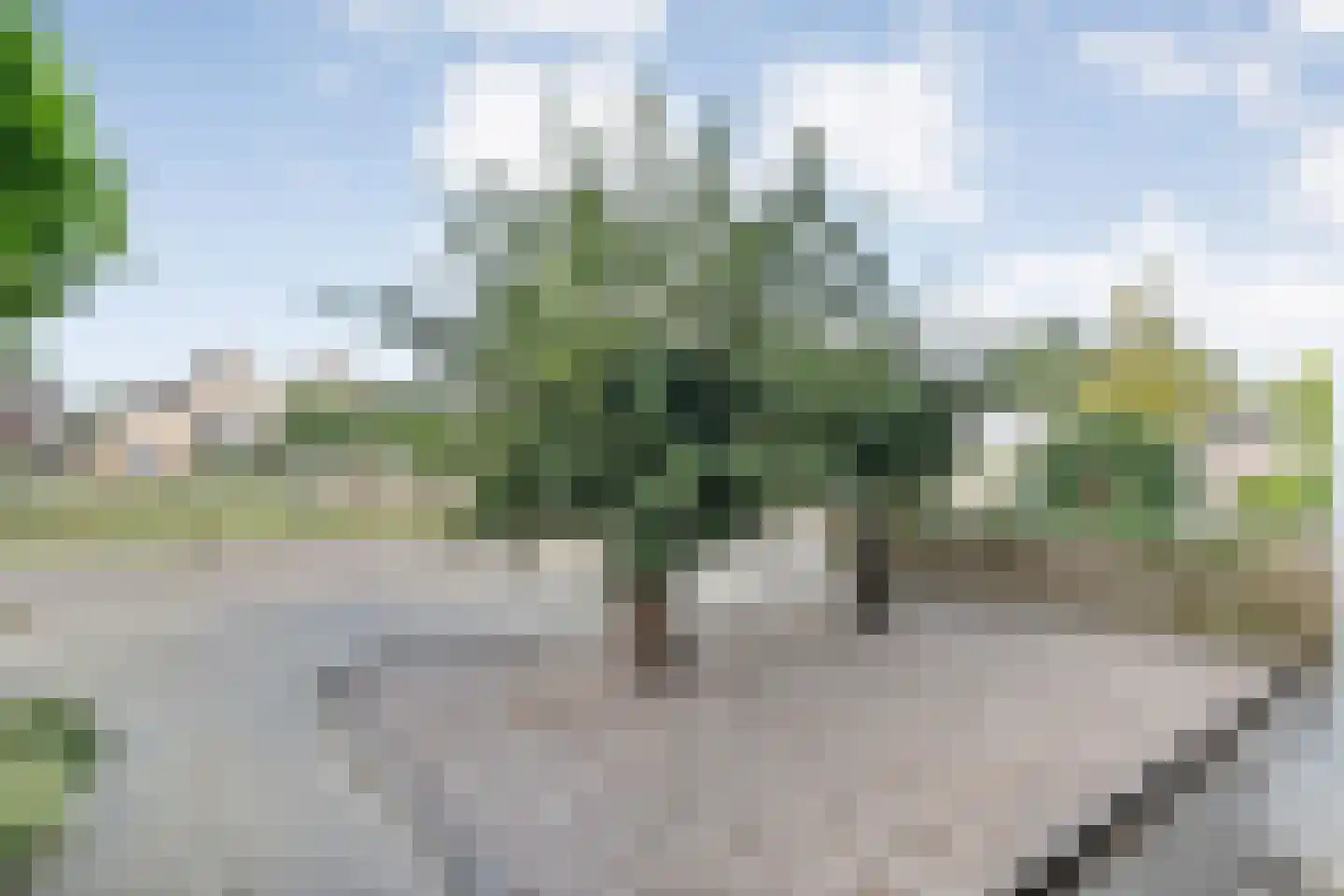 't Heuivak 46 Nijeveen thumbnail 41