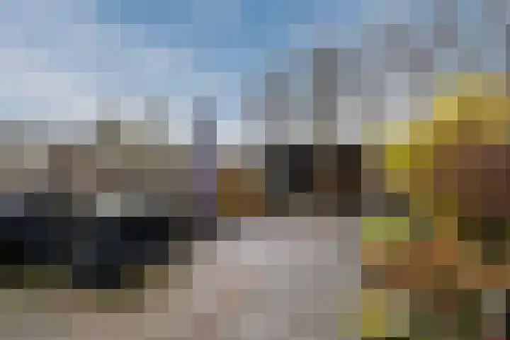 't Heuivak 48 Nijeveen thumbnail 27
