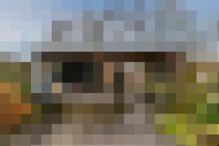 't Heuivak 48 Nijeveen thumbnail 28