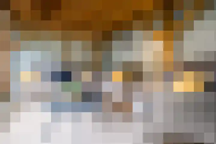 't Heuivak 48 Nijeveen thumbnail 29