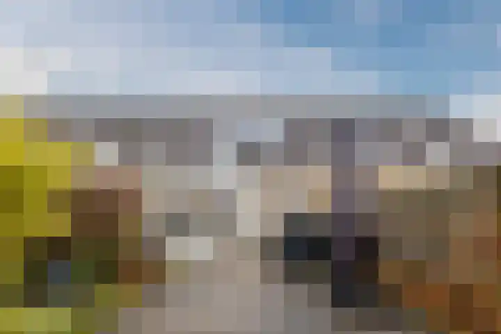 't Heuivak 48 Nijeveen thumbnail 30