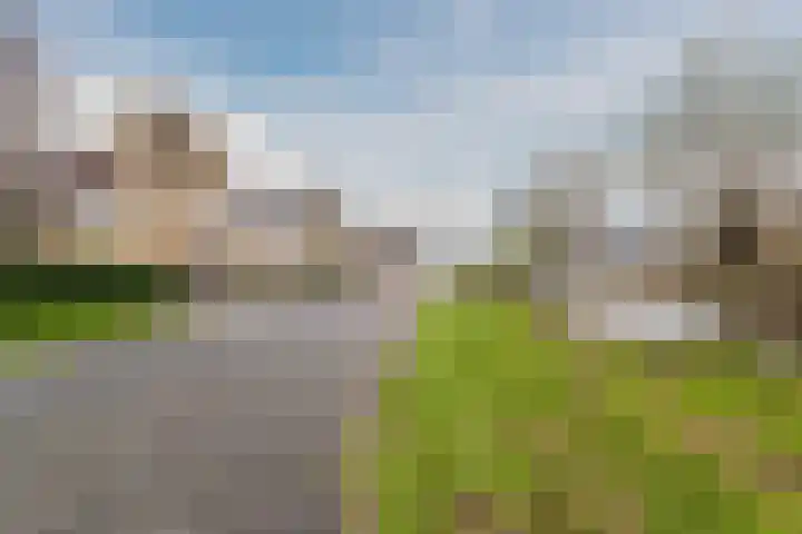 't Heuivak 48 Nijeveen thumbnail 33