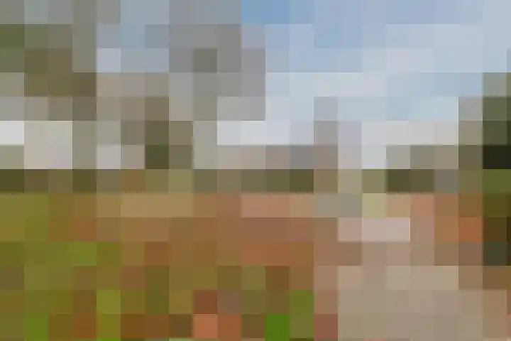 't Heuivak 48 Nijeveen thumbnail 34