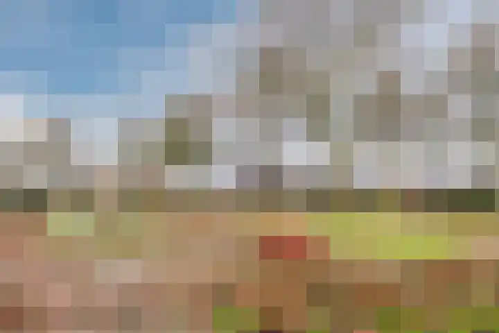 't Heuivak 48 Nijeveen thumbnail 35