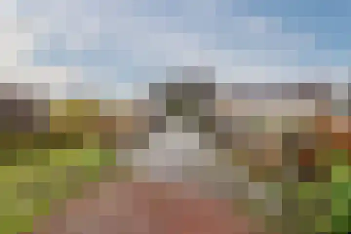't Heuivak 48 Nijeveen thumbnail 36