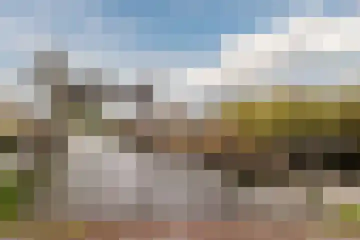 't Heuivak 48 Nijeveen thumbnail 37