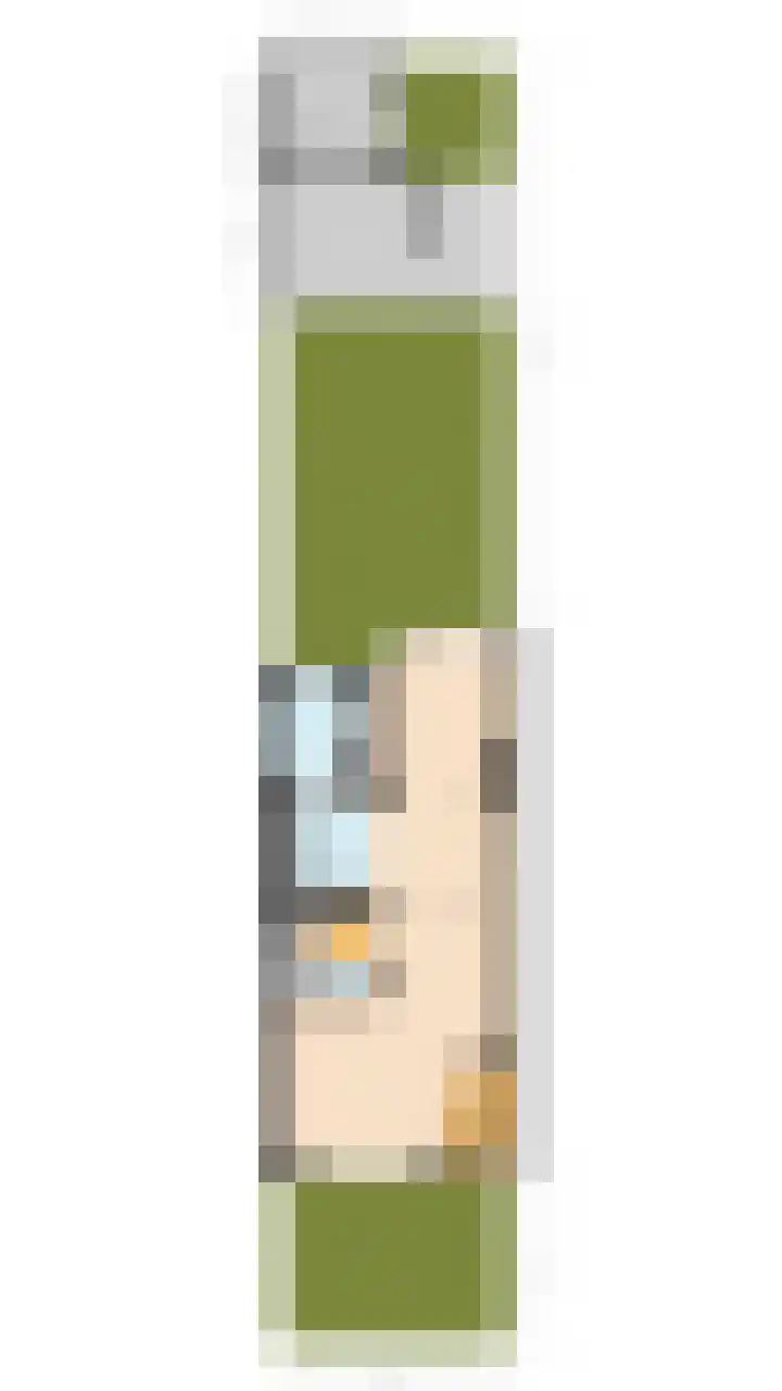 't Heuivak 48 Nijeveen thumbnail 41