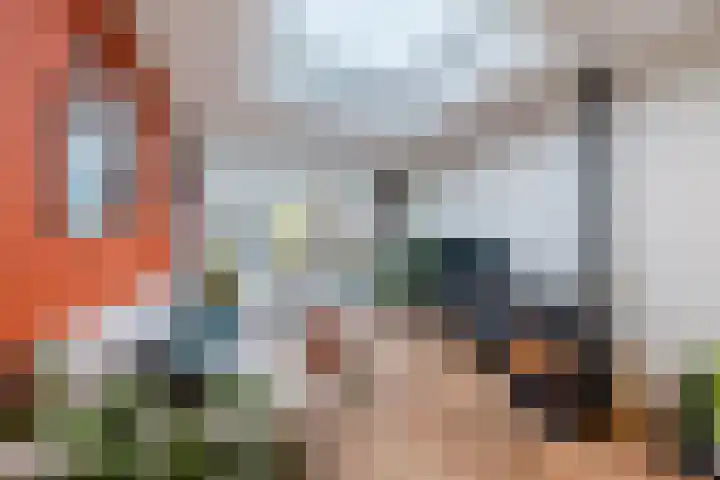 't Heuivak 48 Nijeveen thumbnail 8