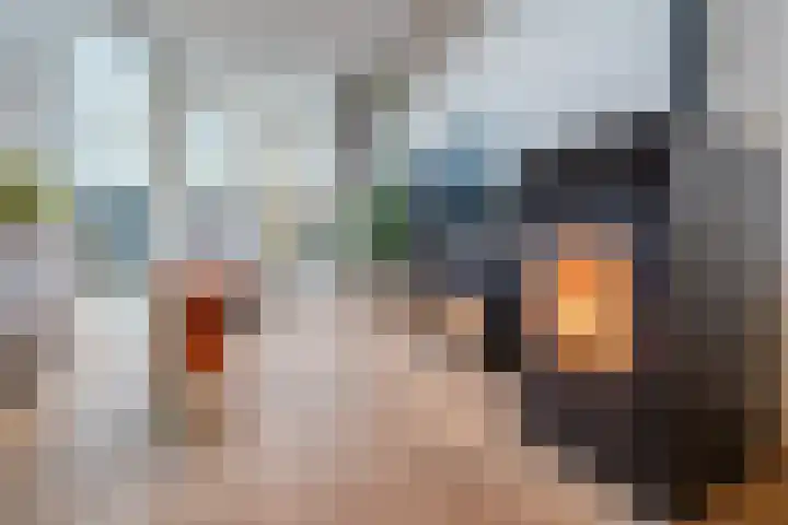 't Heuivak 48 Nijeveen thumbnail 9