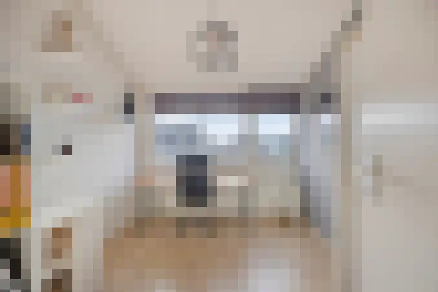 't Hoefje 25 Bruinisse thumbnail 19