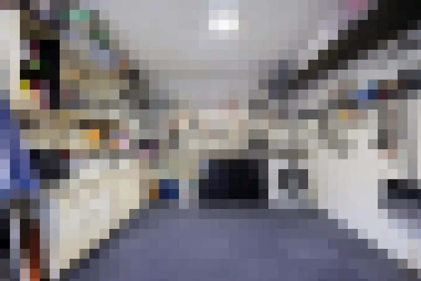 't Hoefje 25 Bruinisse thumbnail 28