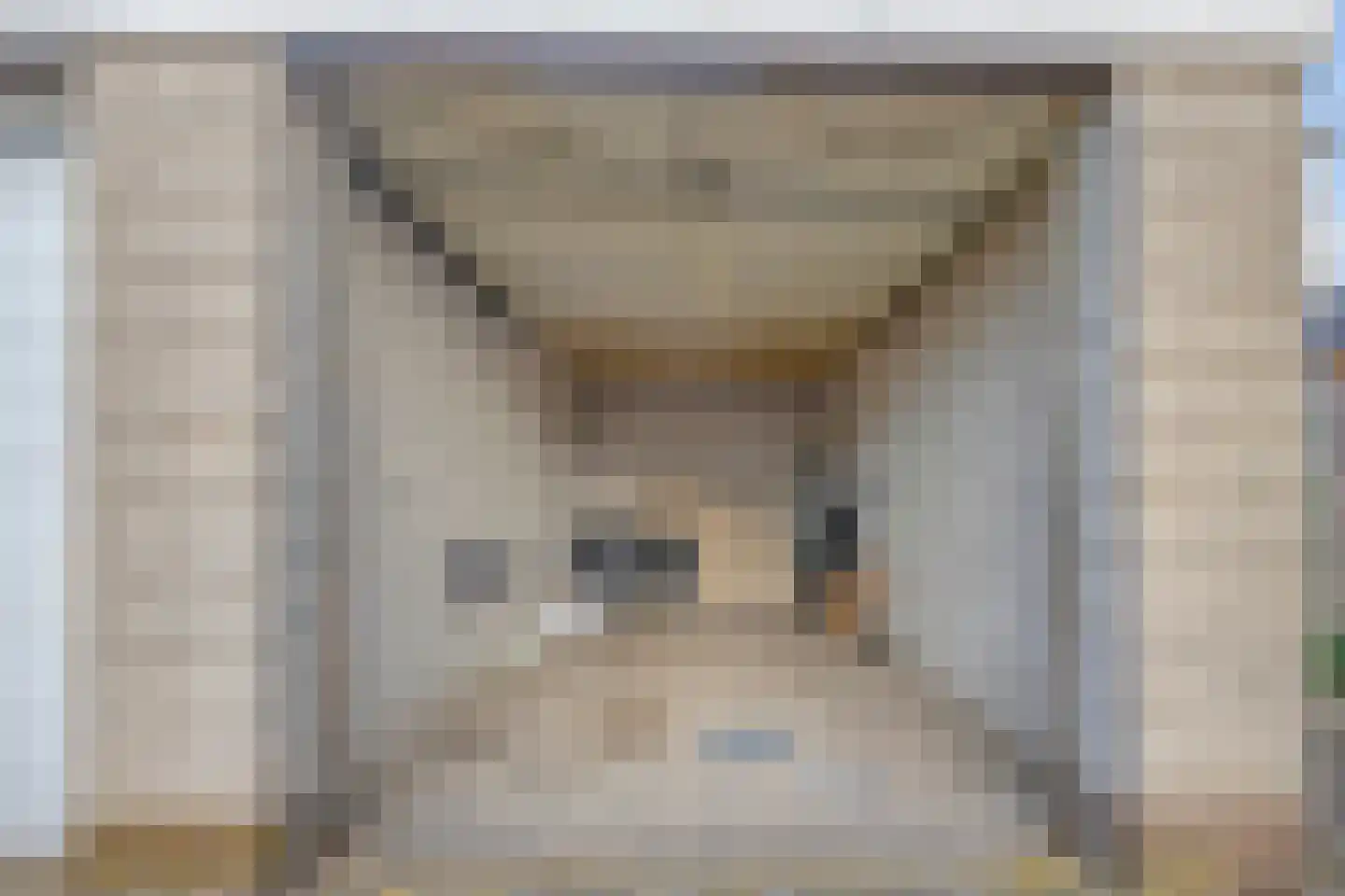 't Hoefje 25 Bruinisse thumbnail 32