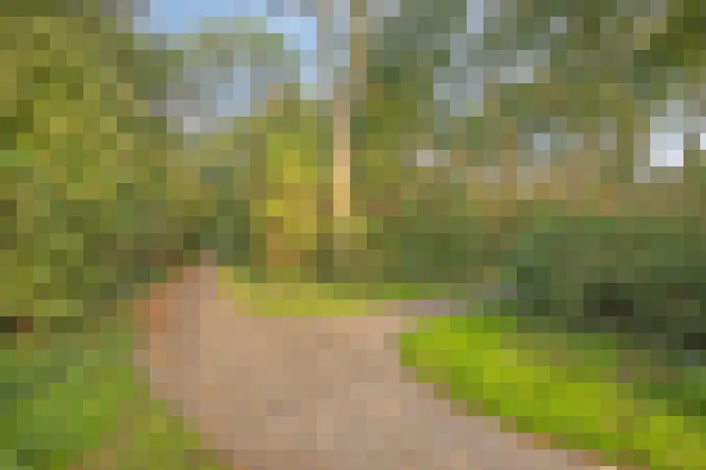 't Hoefje 25 Bruinisse thumbnail 33