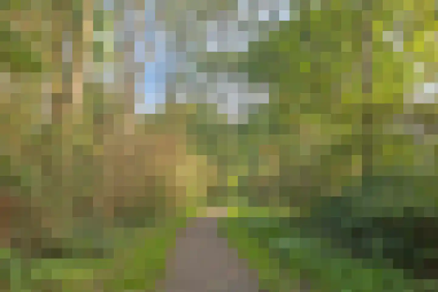 't Hoefje 25 Bruinisse thumbnail 34