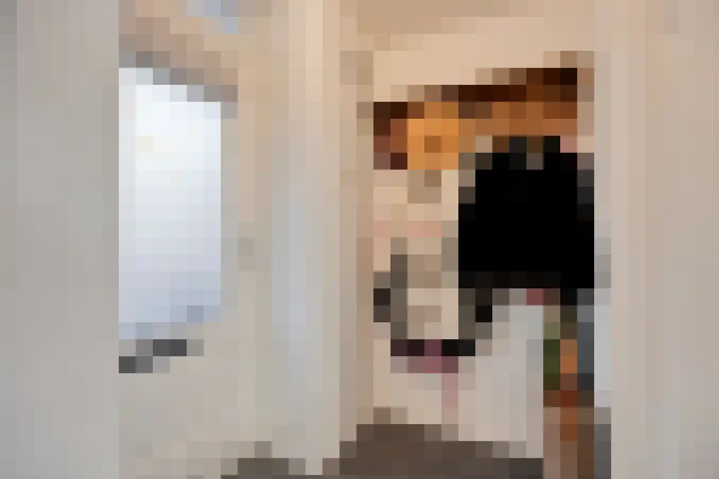 't Hoefje 25 Bruinisse thumbnail 7