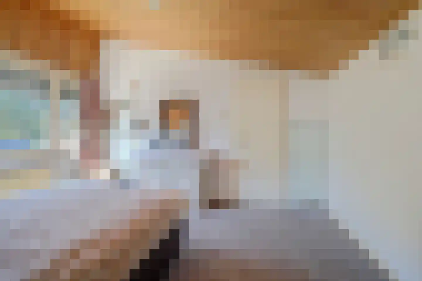 't Hoefje 29 Bruinisse thumbnail 11