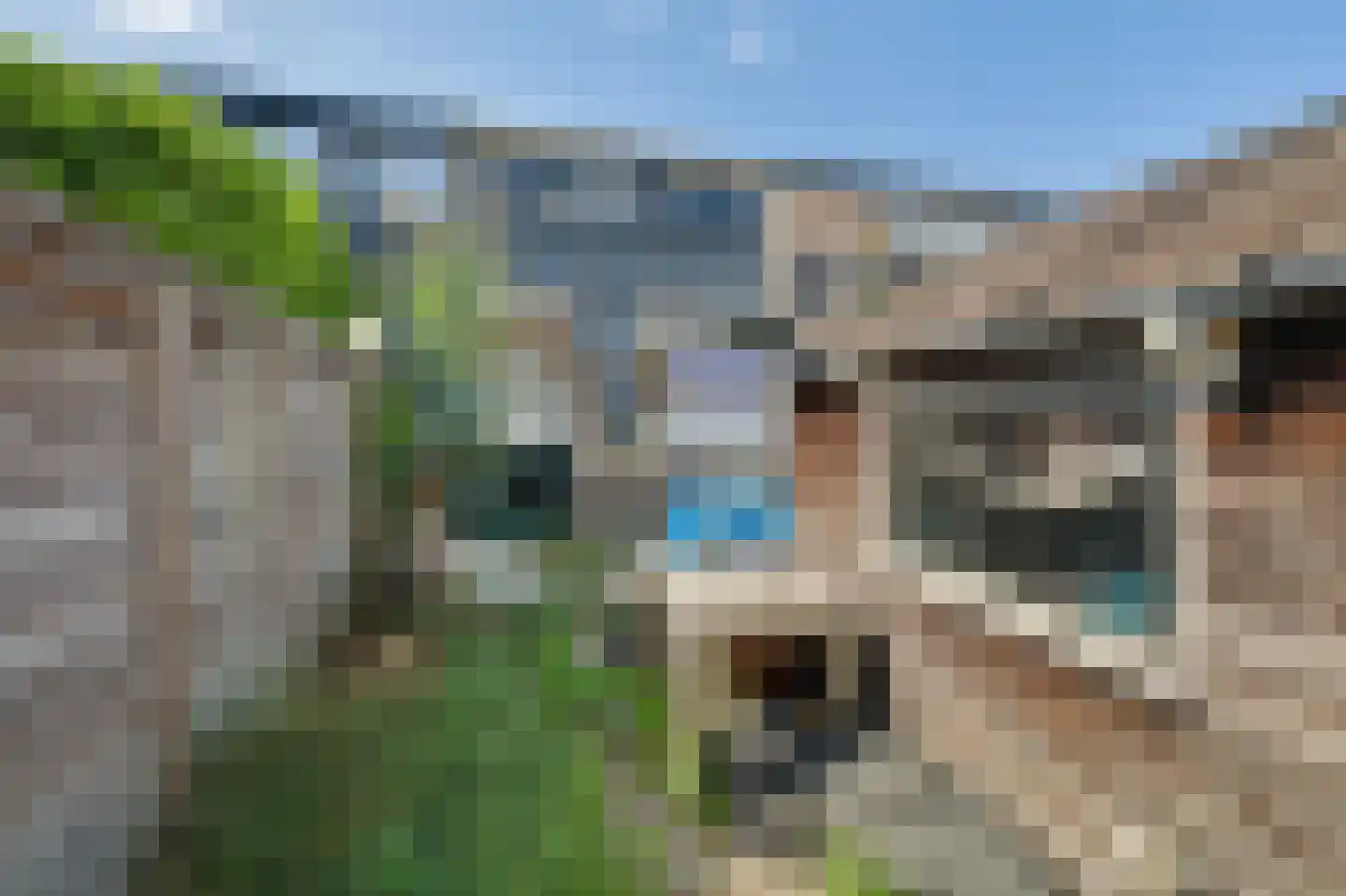 't Hoefje 29 Bruinisse thumbnail 17