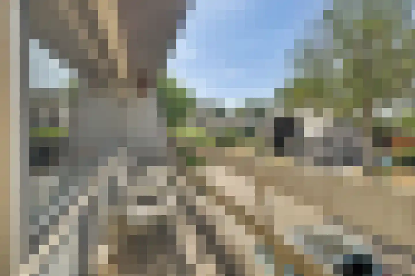 't Hoefje 29 Bruinisse thumbnail 18