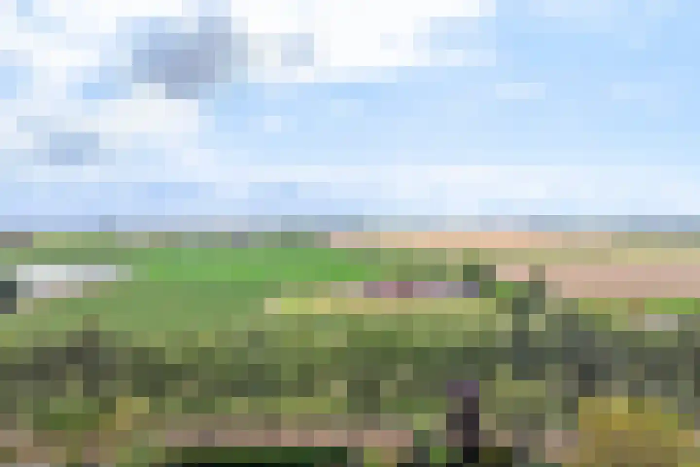 't Hoefje 29 Bruinisse thumbnail 27