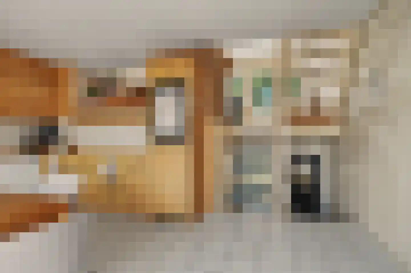 't Hoefje 29 Bruinisse thumbnail 5