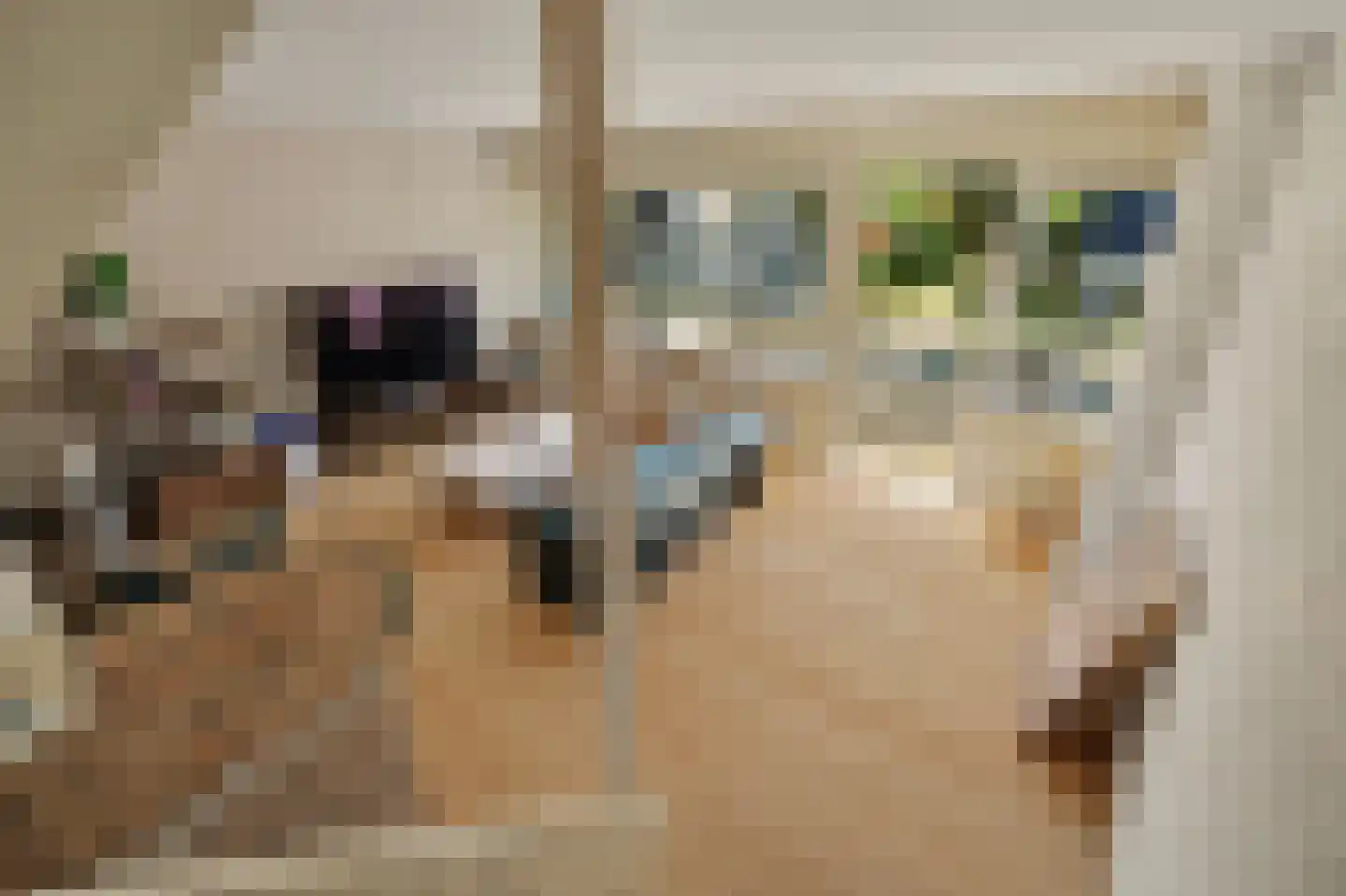 't Hoefje 29 Bruinisse thumbnail 8
