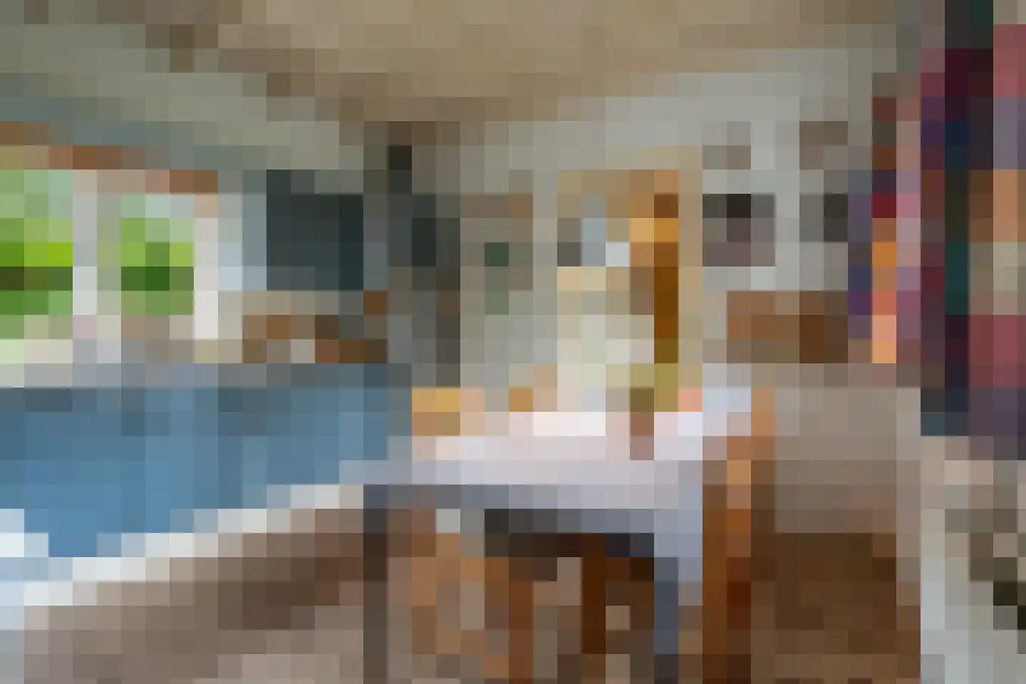 't Hoekske 2 Ulvenhout thumbnail 14