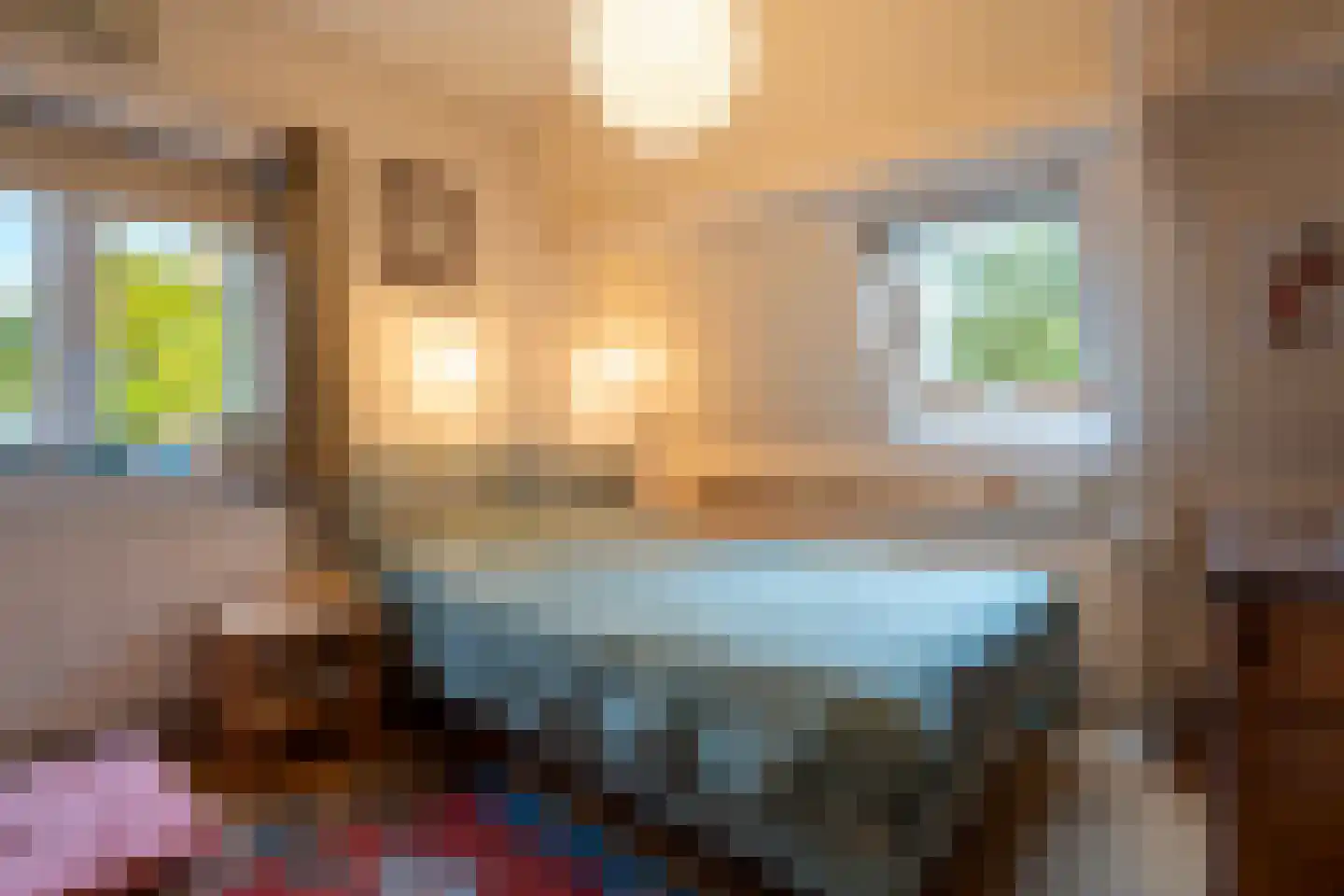 't Hoekske 2 Ulvenhout thumbnail 25