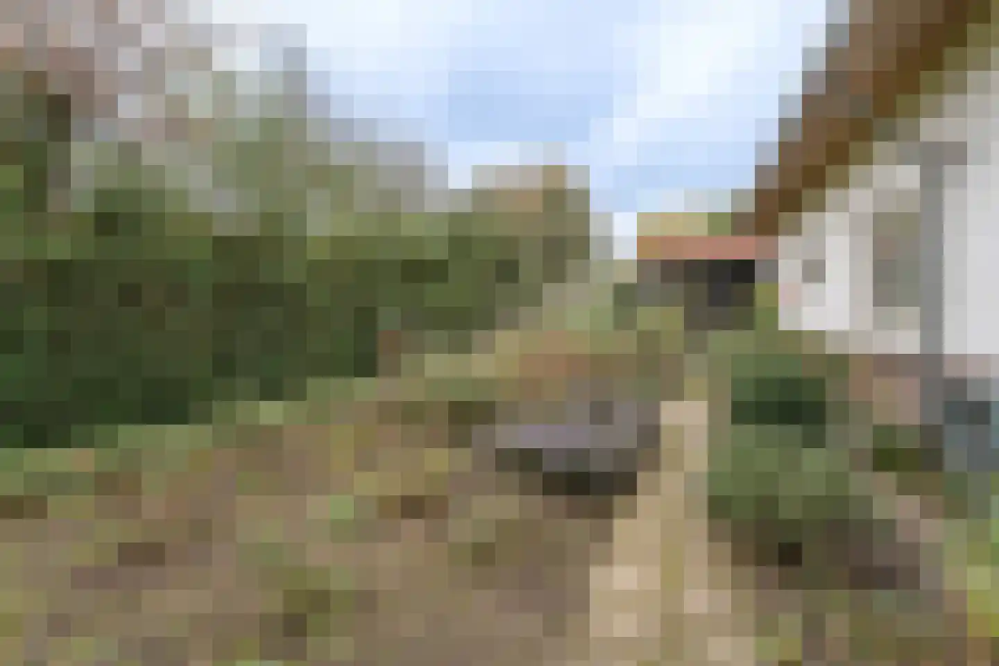 't Hoekske 2 Ulvenhout thumbnail 33
