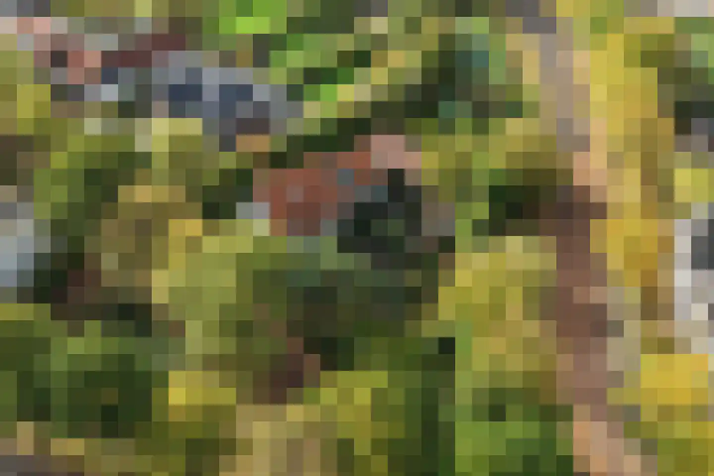 't Hoekske 2 Ulvenhout thumbnail 35