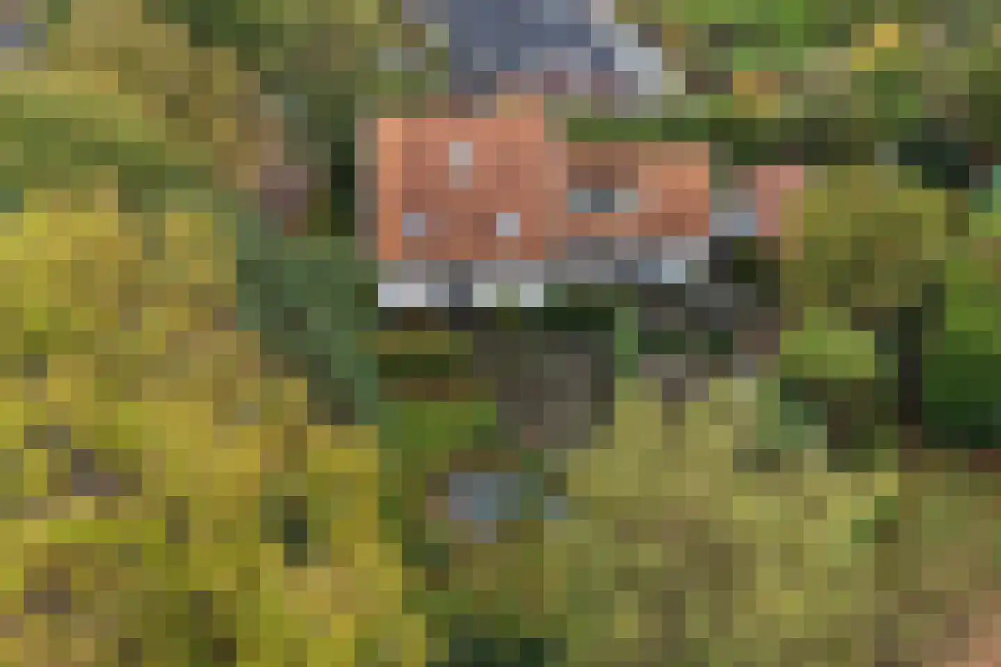 't Hoekske 2 Ulvenhout thumbnail 37