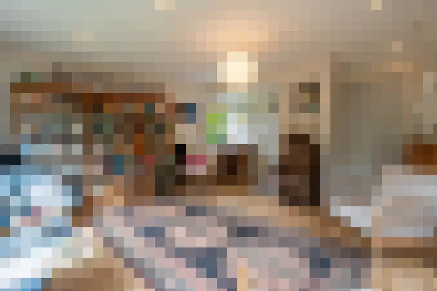 't Hoekske 2 Ulvenhout thumbnail 5