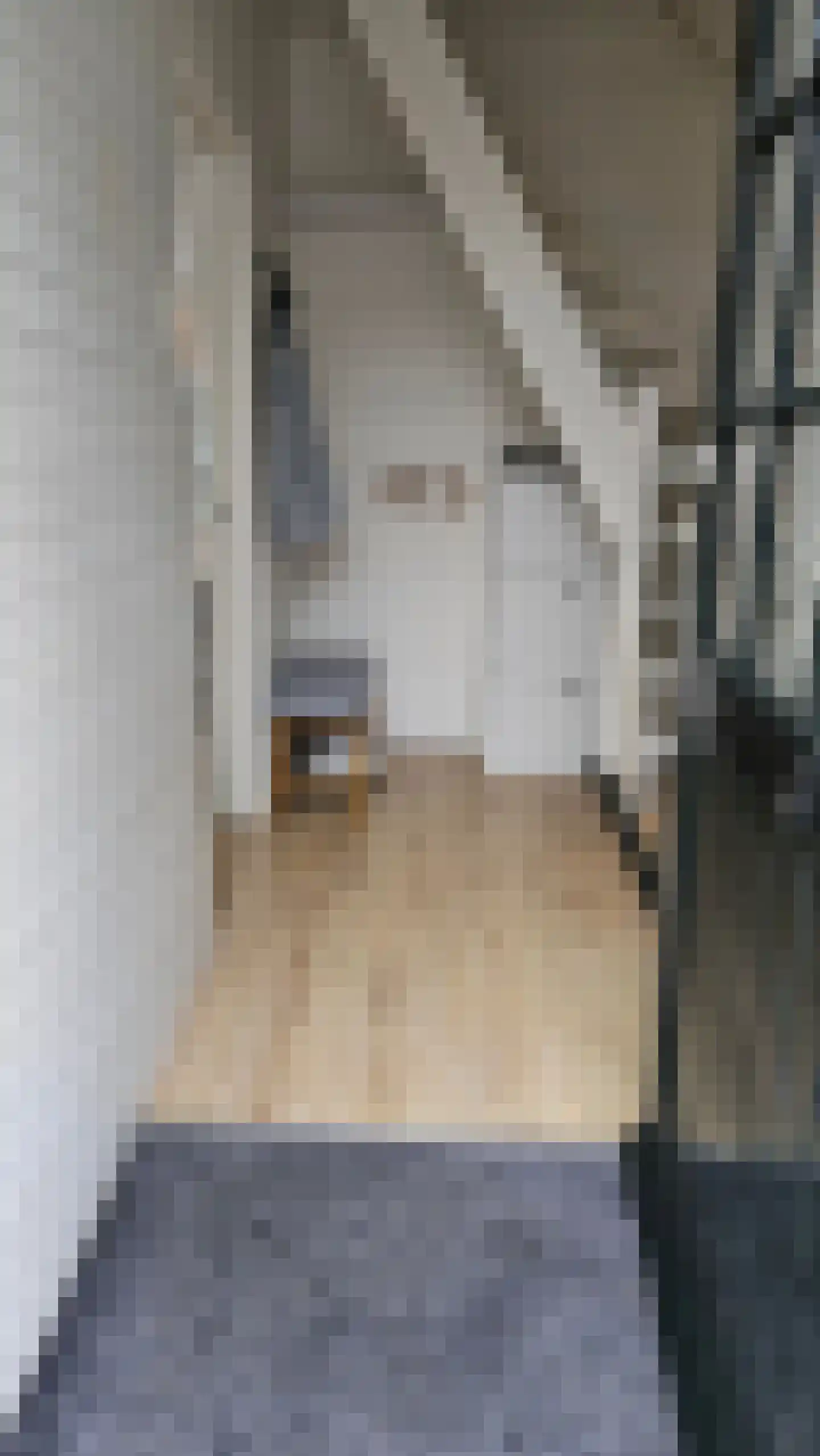 't Hoenstraat 13 Westzaan thumbnail 15